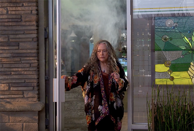 Disjointed Part 1 Netflix